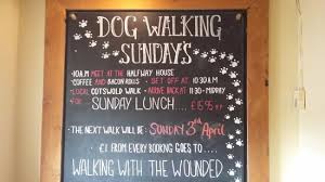 Cotswold dog walking club