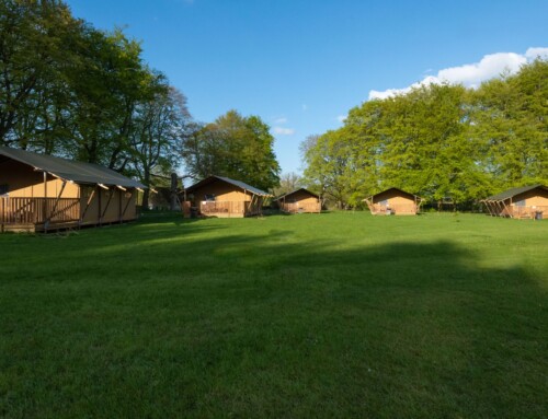 Our Safari Tents are OPEN!