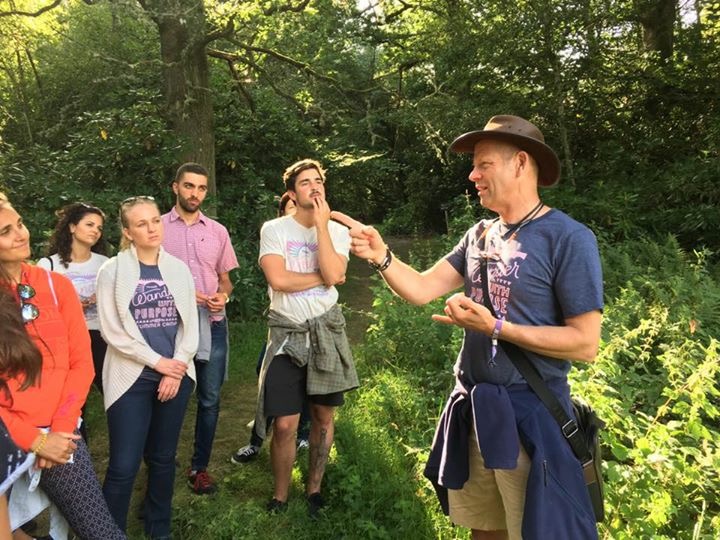 Mindfullness walks in the Cotswolds