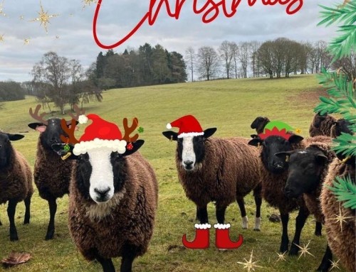 Alternative Cotswold Christmas Present Ideas